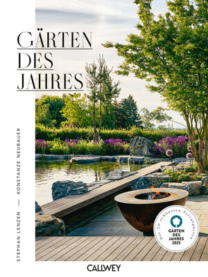 cover image of Arco de fogo